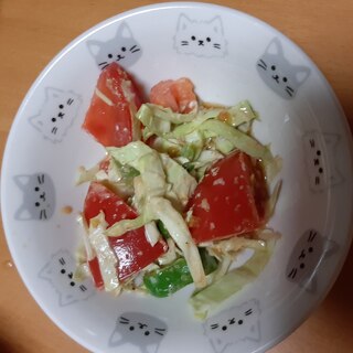 トマト　キャベツ　ピーマン　サラダ